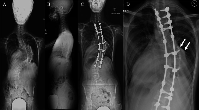 Fig. 6