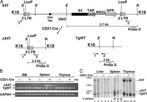 Figure 3.