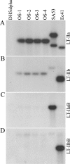 FIG. 1.