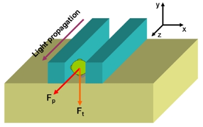 Figure 10.