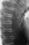 Fig. 3.