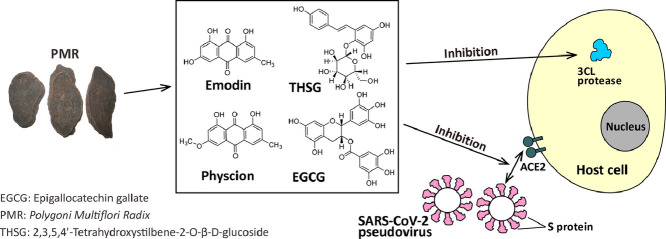 Image, graphical abstract