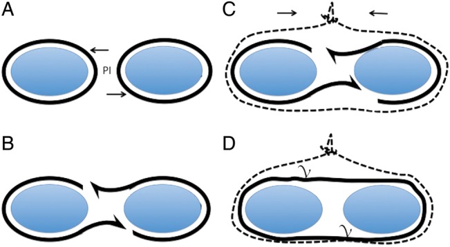 Figure 2: