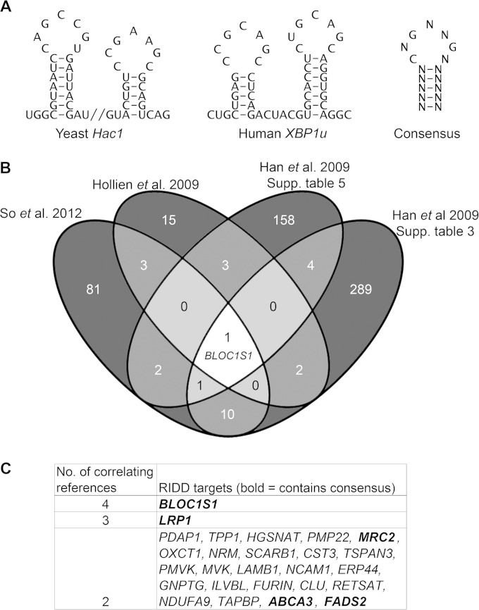 FIG 1