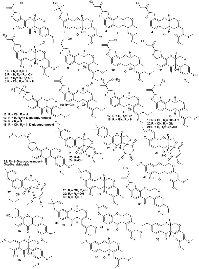 FIGURE 1