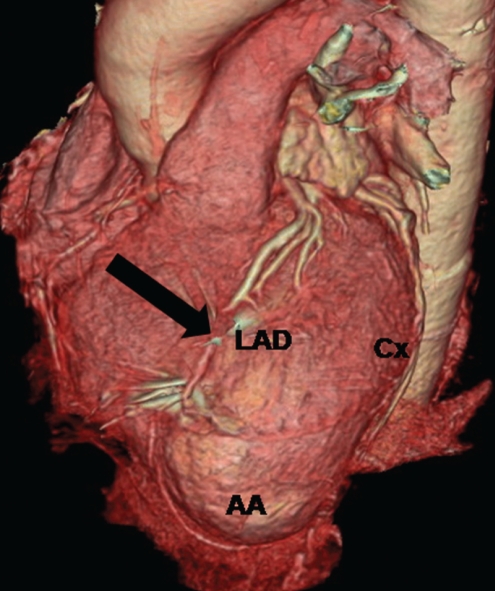 Figure 2)