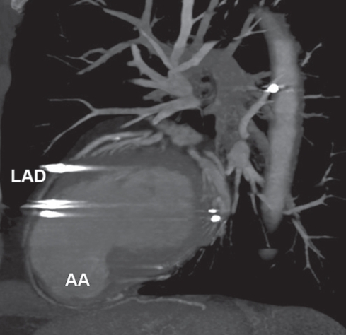 Figure 3)