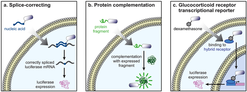 Figure 4.