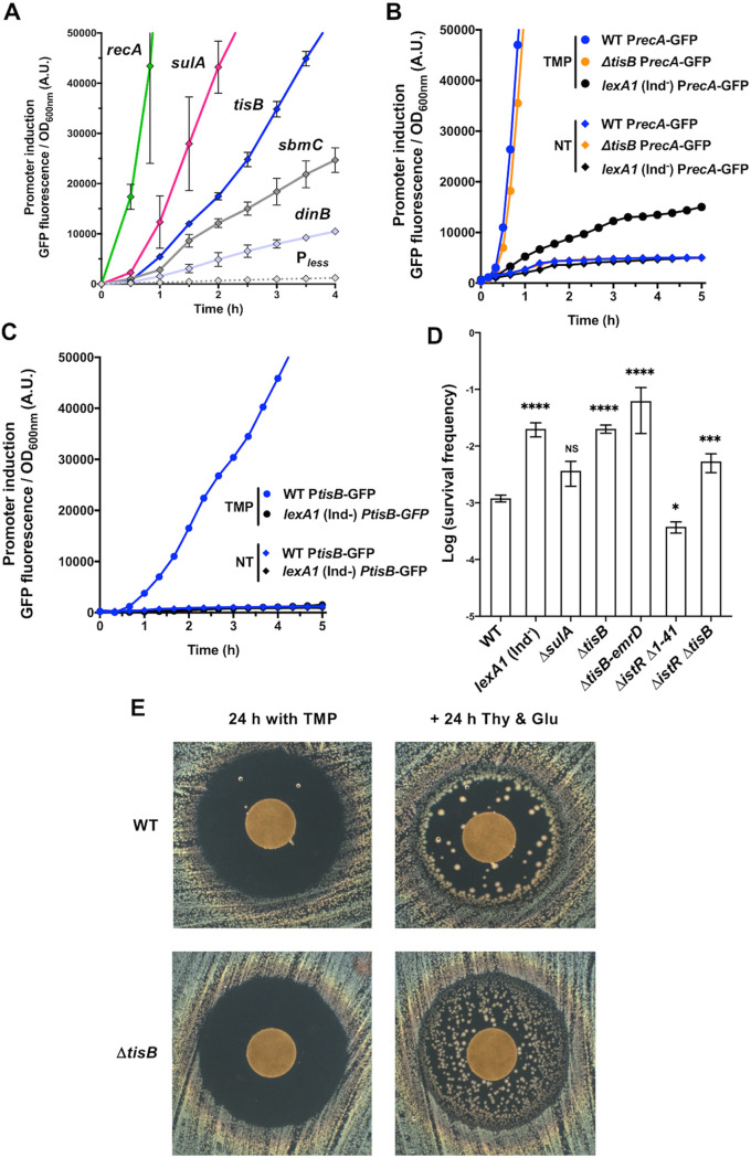 FIG 1