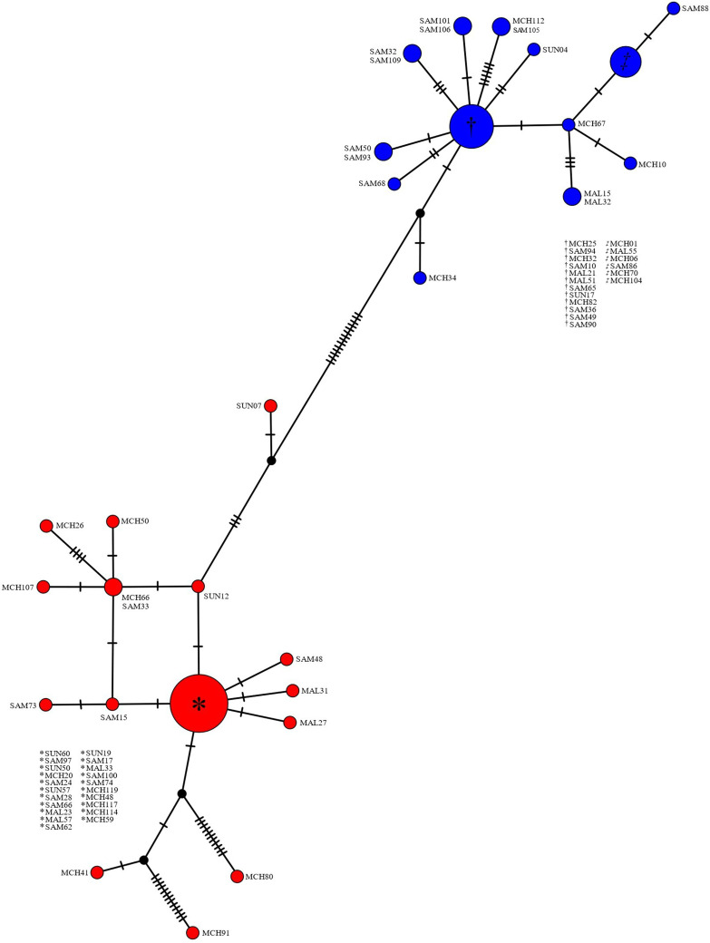 Figure 2.