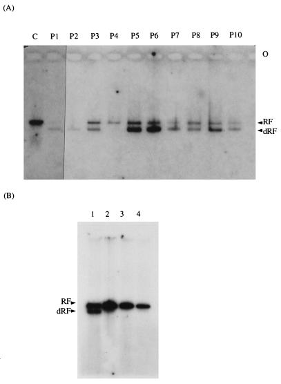 FIG. 3