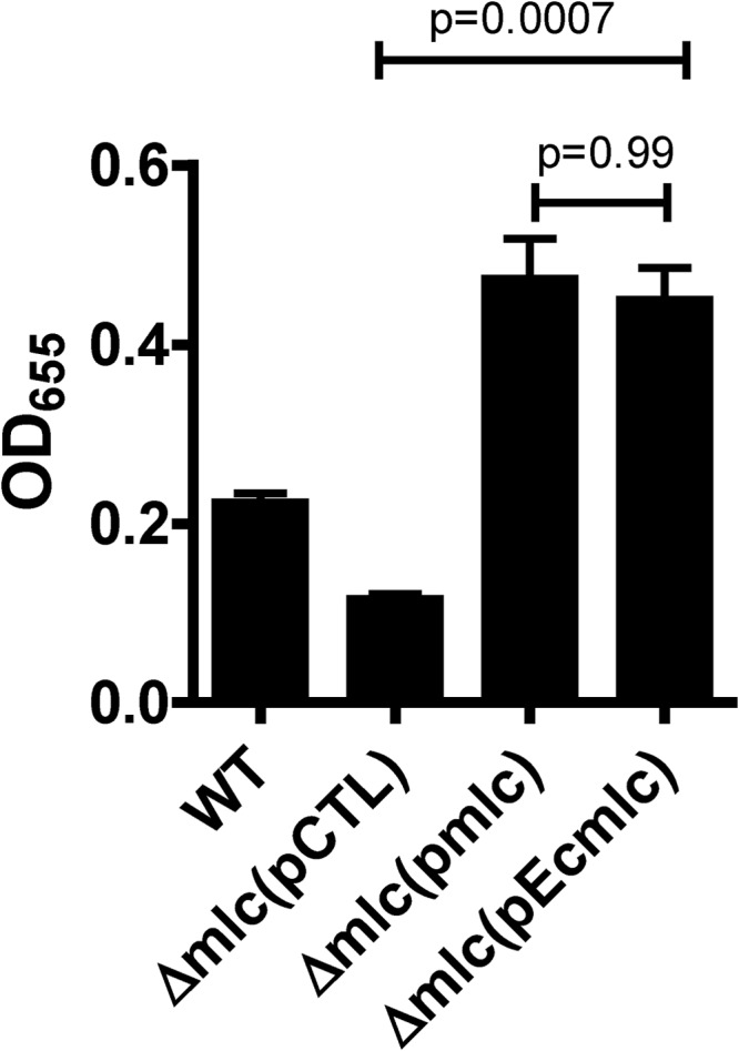 FIG 6