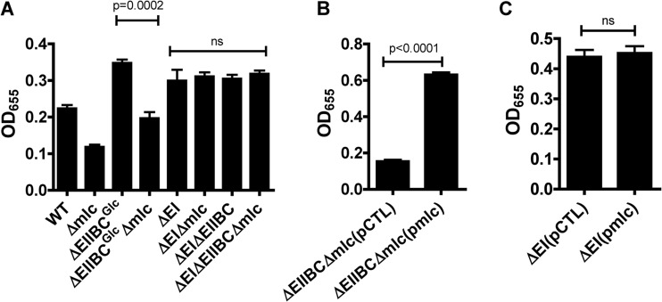 FIG 7