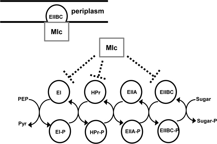 FIG 1