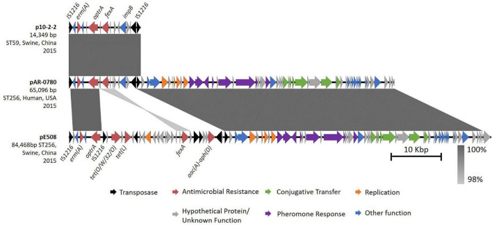 FIGURE 3