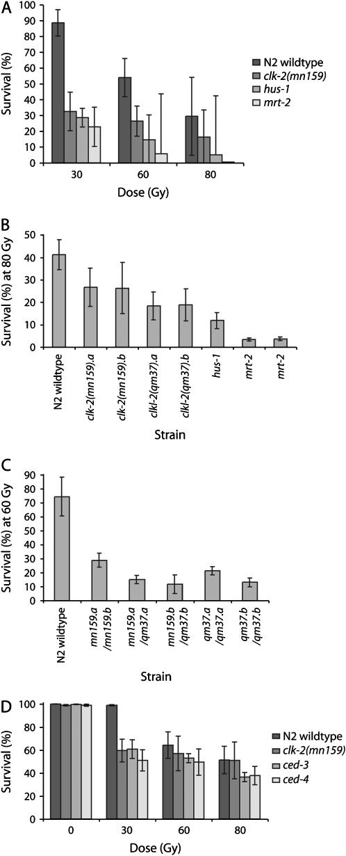 Figure 2.—