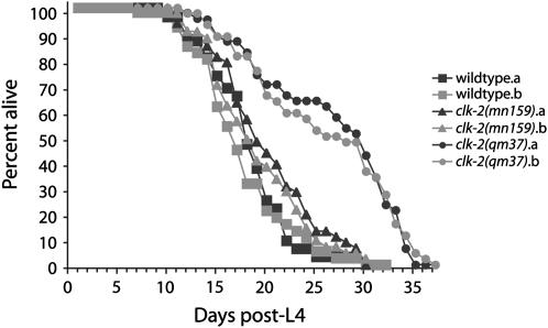 Figure 5.—