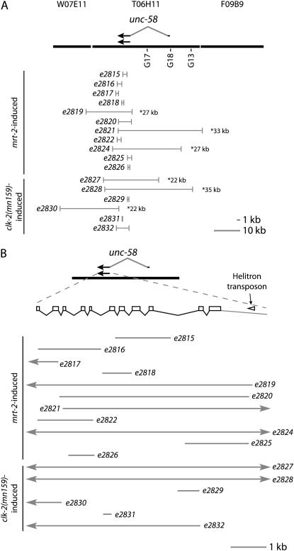 Figure 4.—