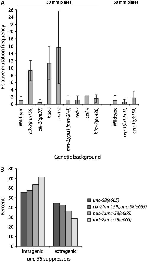 Figure 3.—