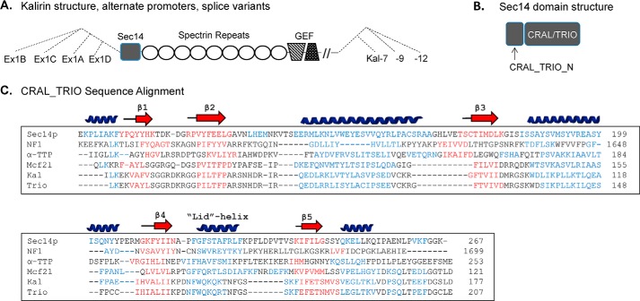 FIGURE 1.