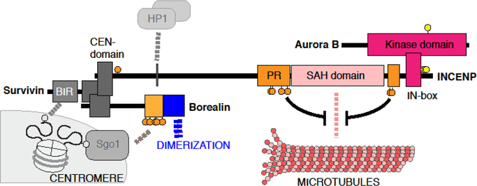 Figure 3.