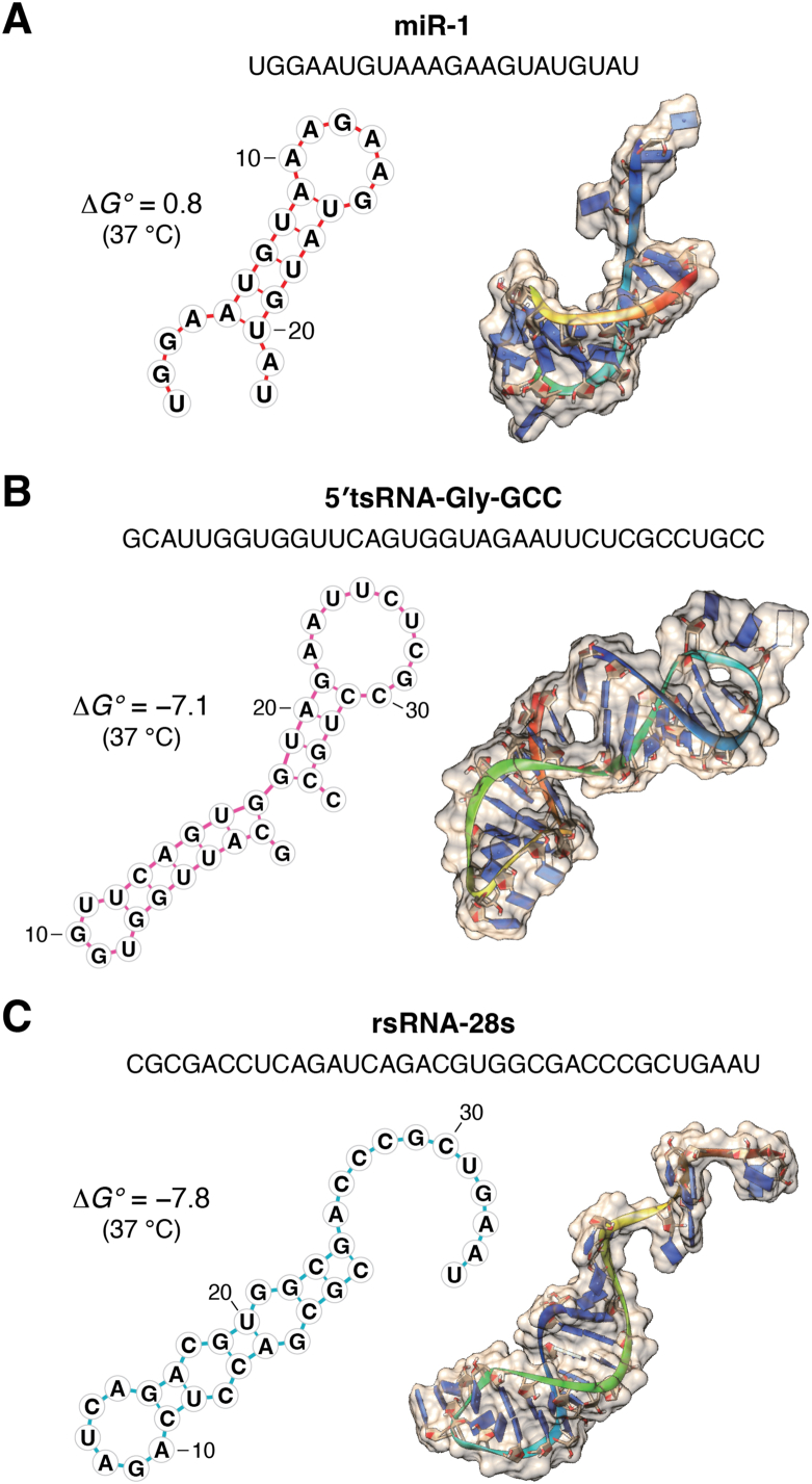 Figure 4