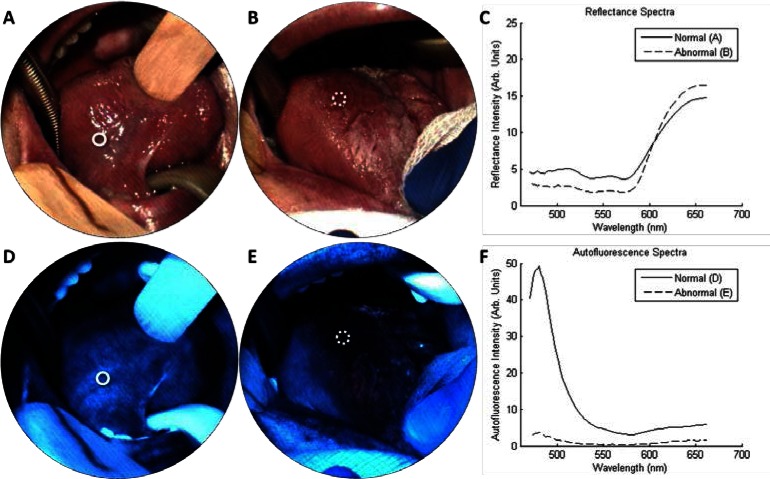 Fig. 2