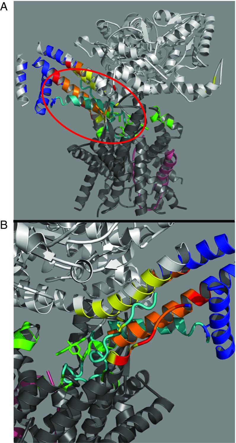 Fig. 3.