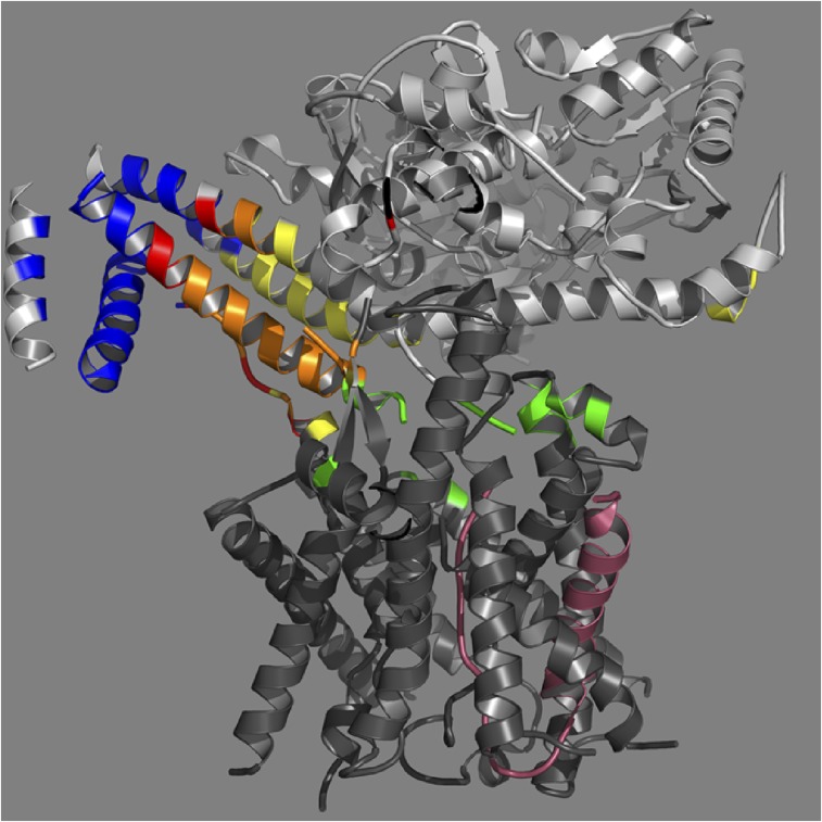 Fig. S5.