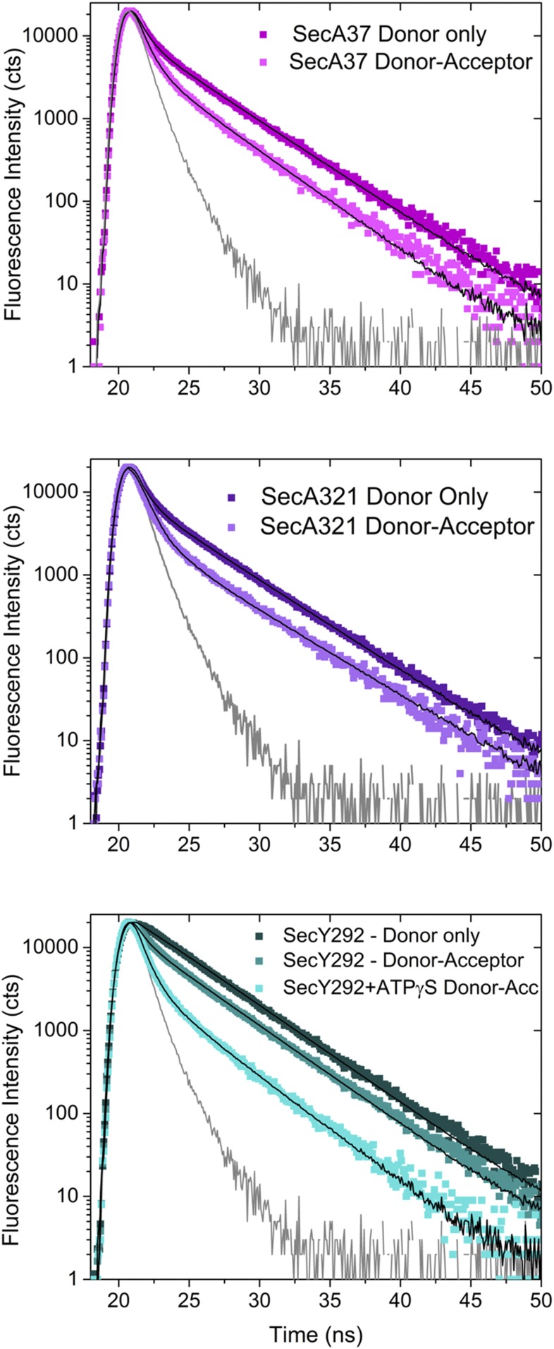 Fig. S3.