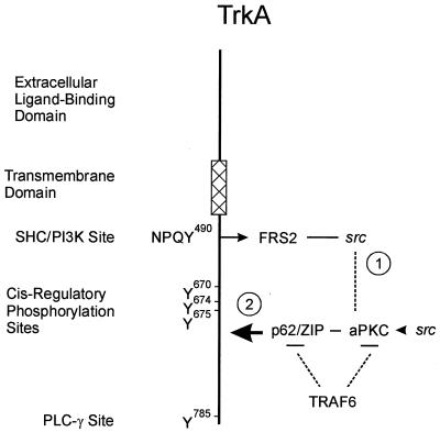 FIG. 11