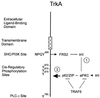 FIG. 11