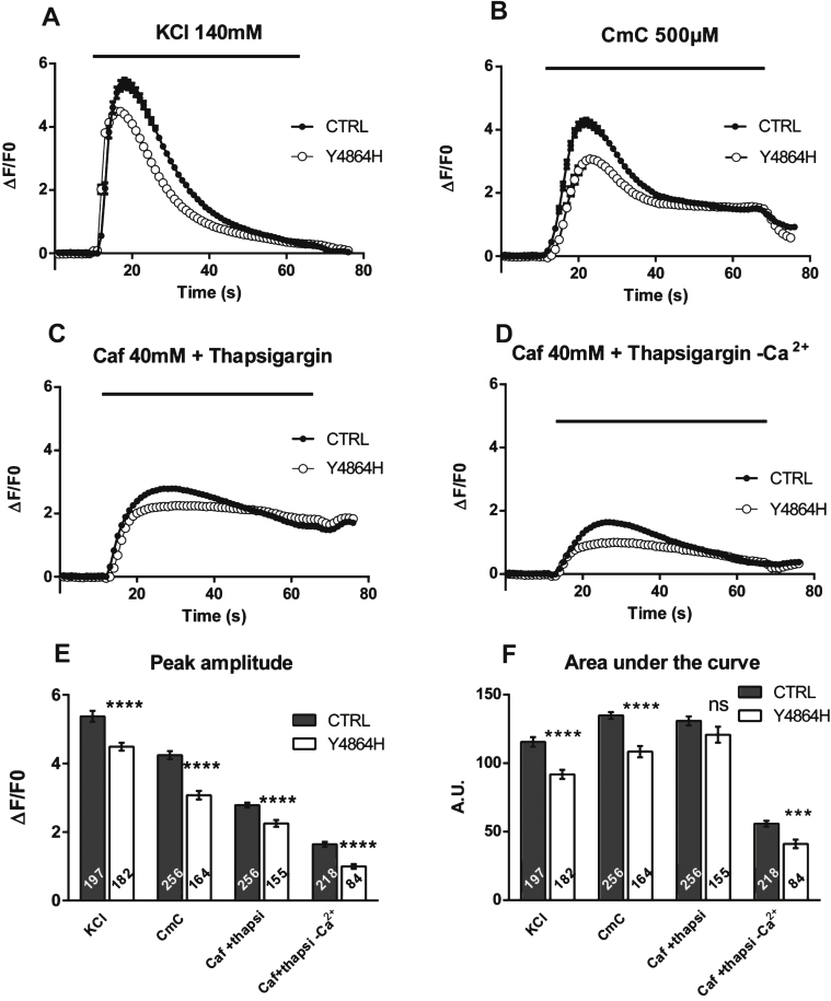 Fig.2