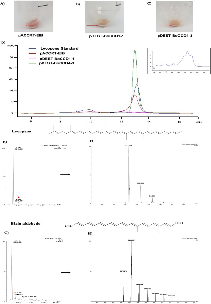 Figure 7