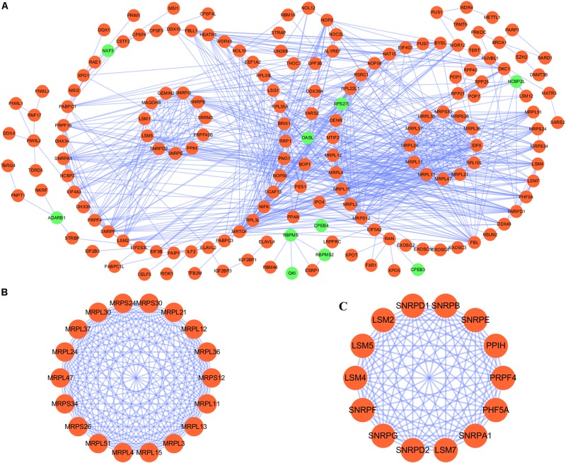 FIGURE 2