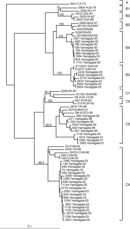 FIG. 2.