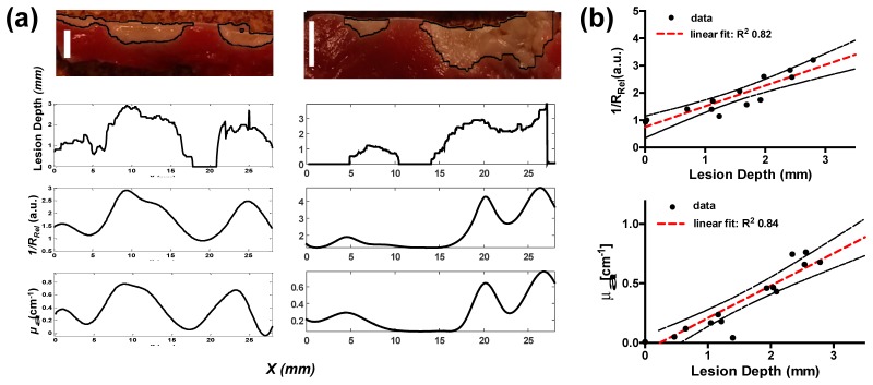 Fig. 8