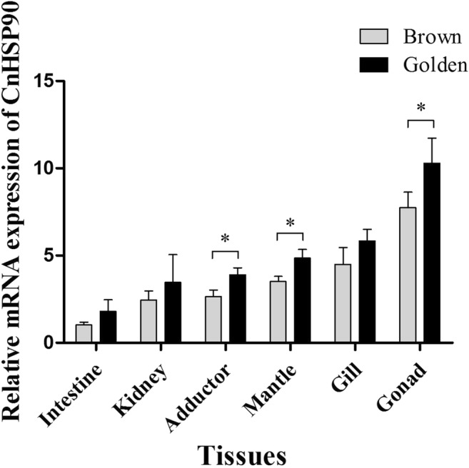 Fig. 7
