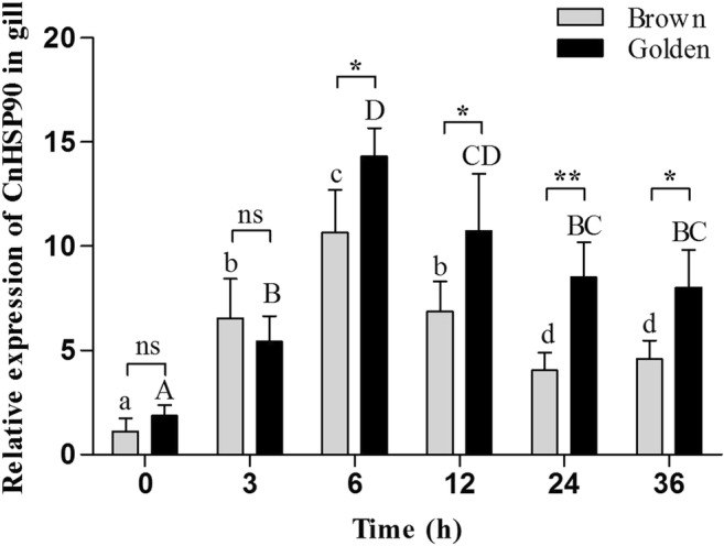 Fig. 8
