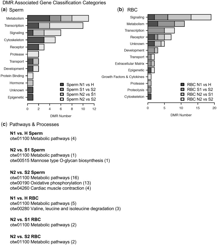 Figure 6: