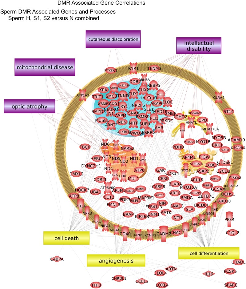 Figure 7: