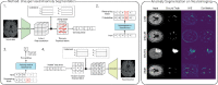 Image, graphical abstract