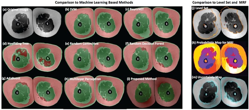 Fig. 9: