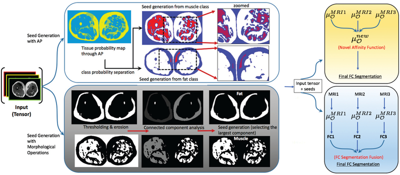 Fig. 2: