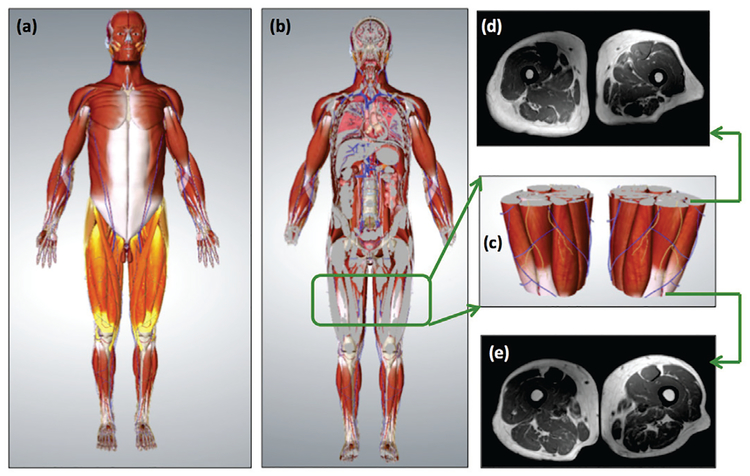 Fig. 1: