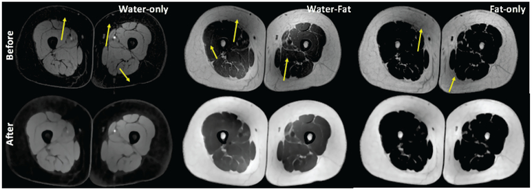 Fig. 3: