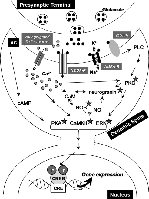 FIG. 3.