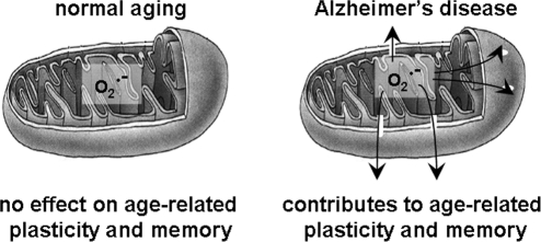 FIG. 14.