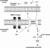 FIG. 8.