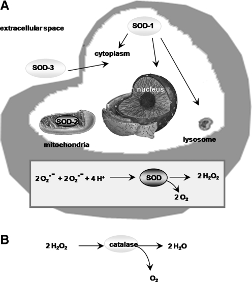 FIG. 9.